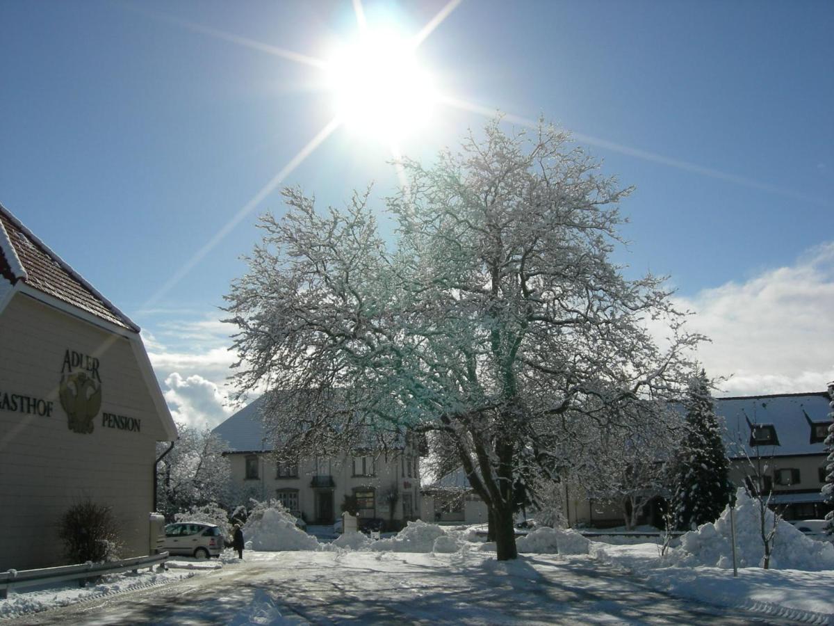 Pension Adler Bannholz 外观 照片